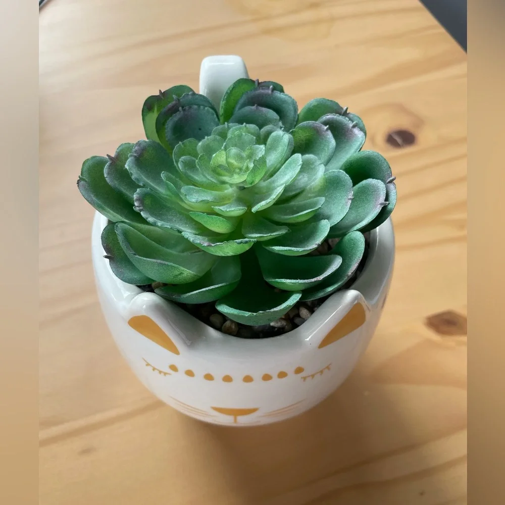 Cat Ceramic Planter With Artificial Succulent